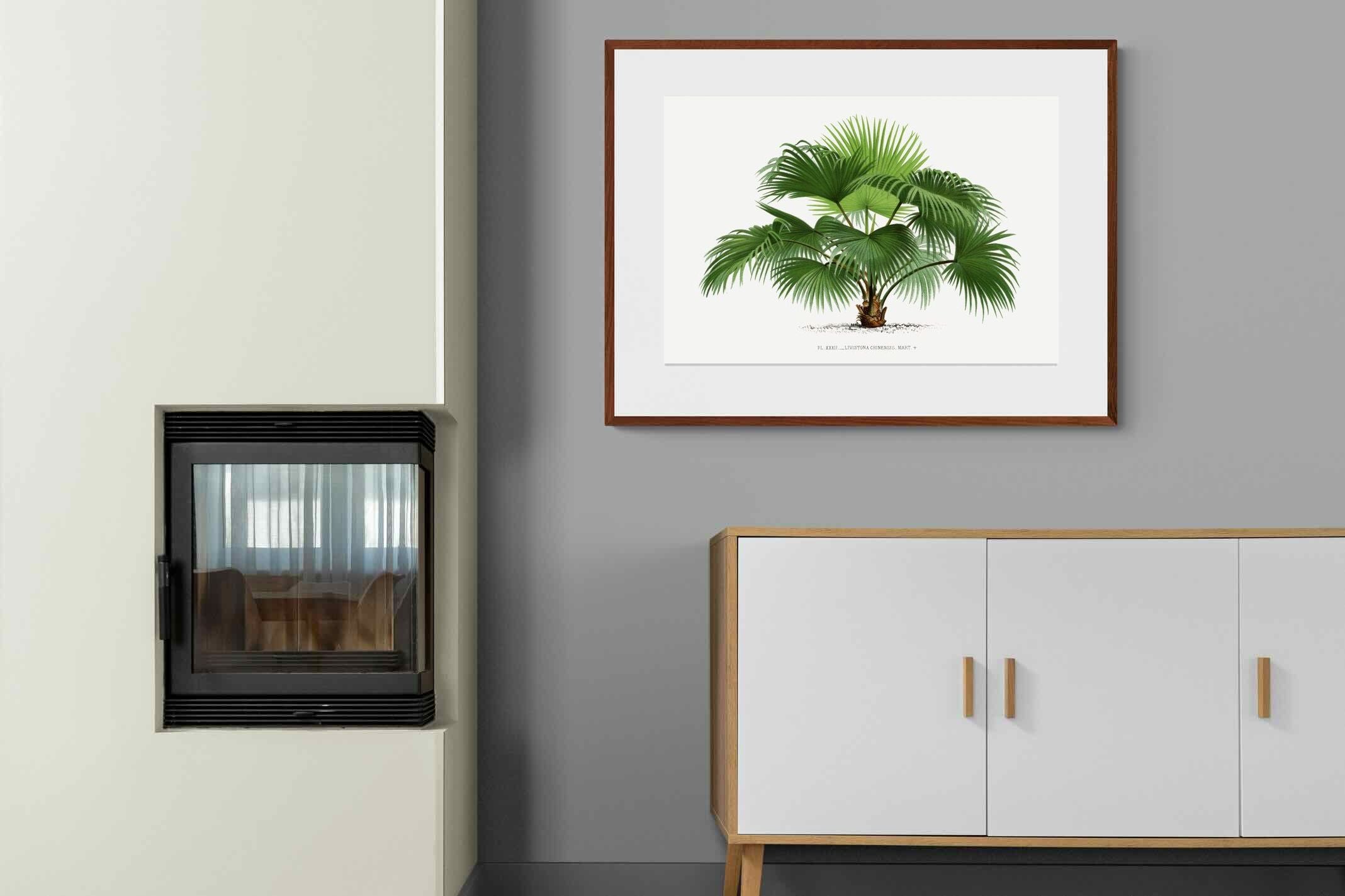 Pixalot ® Vintage Palm Illustration #1