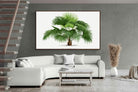 Pixalot ® Vintage Palm Illustration #1