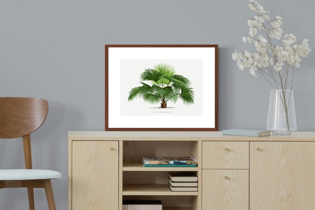 Pixalot ® Vintage Palm Illustration #1