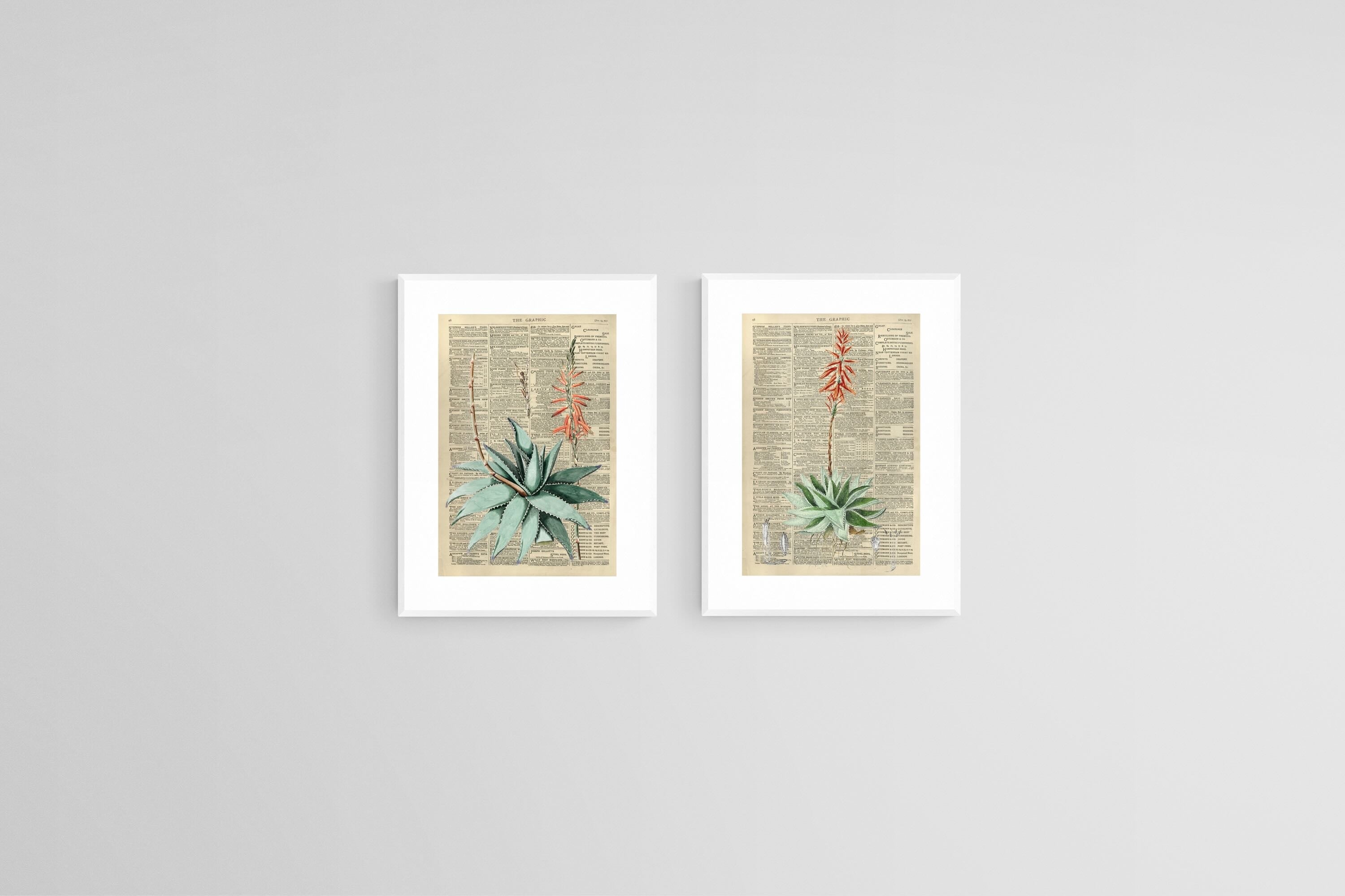 Vintage Press Aloe Set-Wall_Art-45 x 60cm (x2)-Framed Print-White-Pixalot