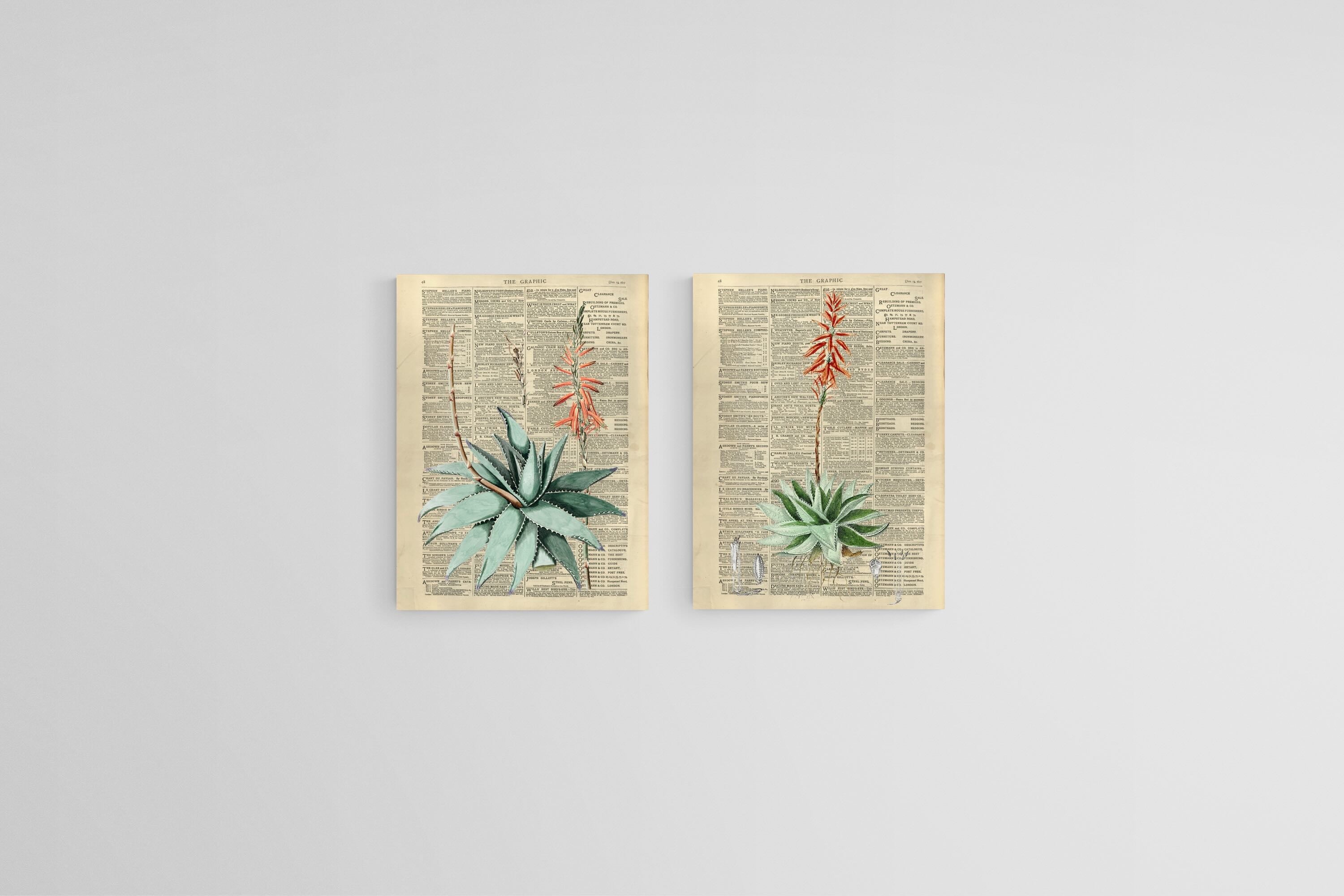 Vintage Press Aloe Set-Wall_Art-45 x 60cm (x2)-Mounted Canvas-No Frame-Pixalot