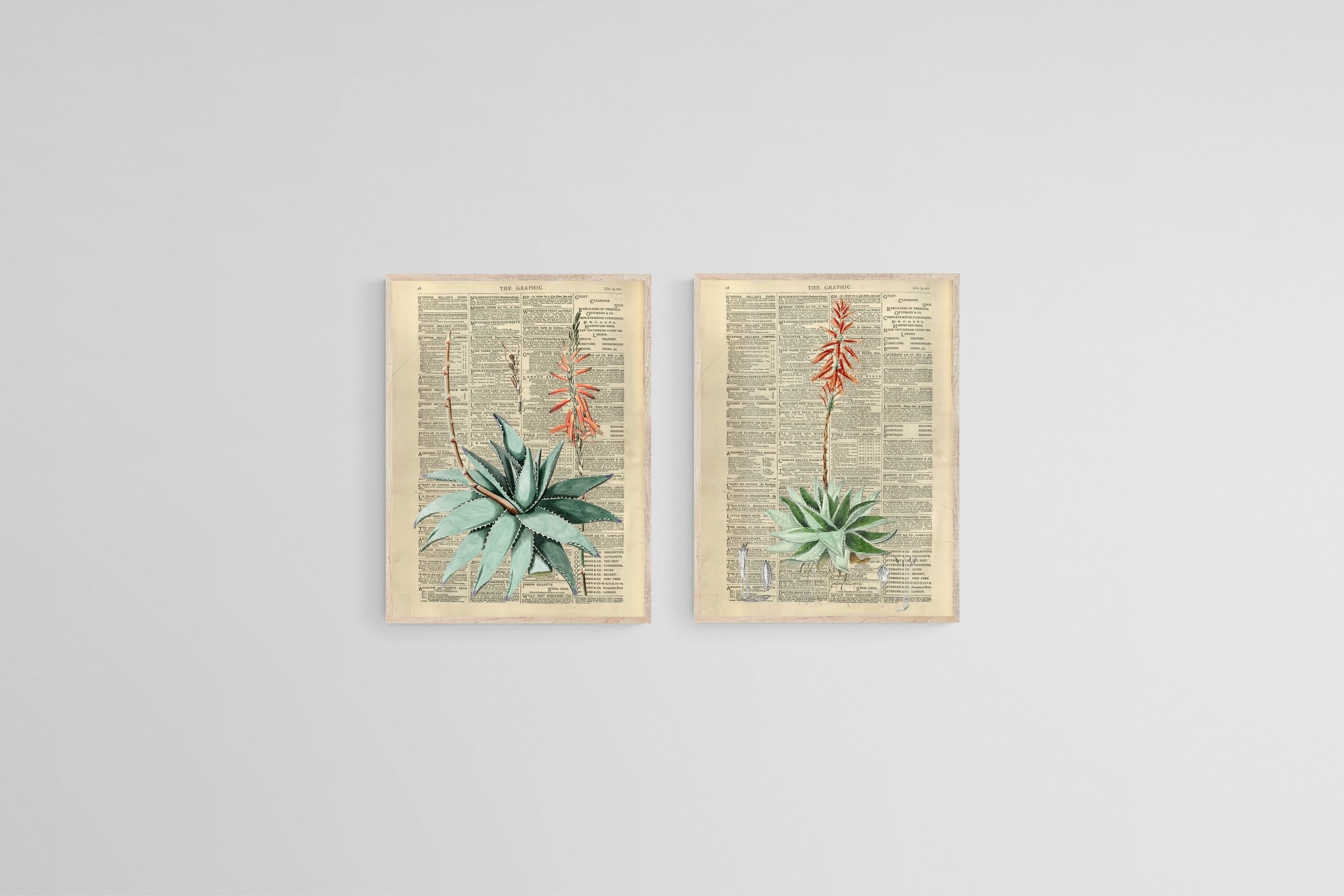 Vintage Press Aloe Set-Wall_Art-45 x 60cm (x2)-Mounted Canvas-Wood-Pixalot