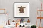 Pixalot Vintage Tortoise