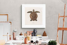 Pixalot Vintage Tortoise