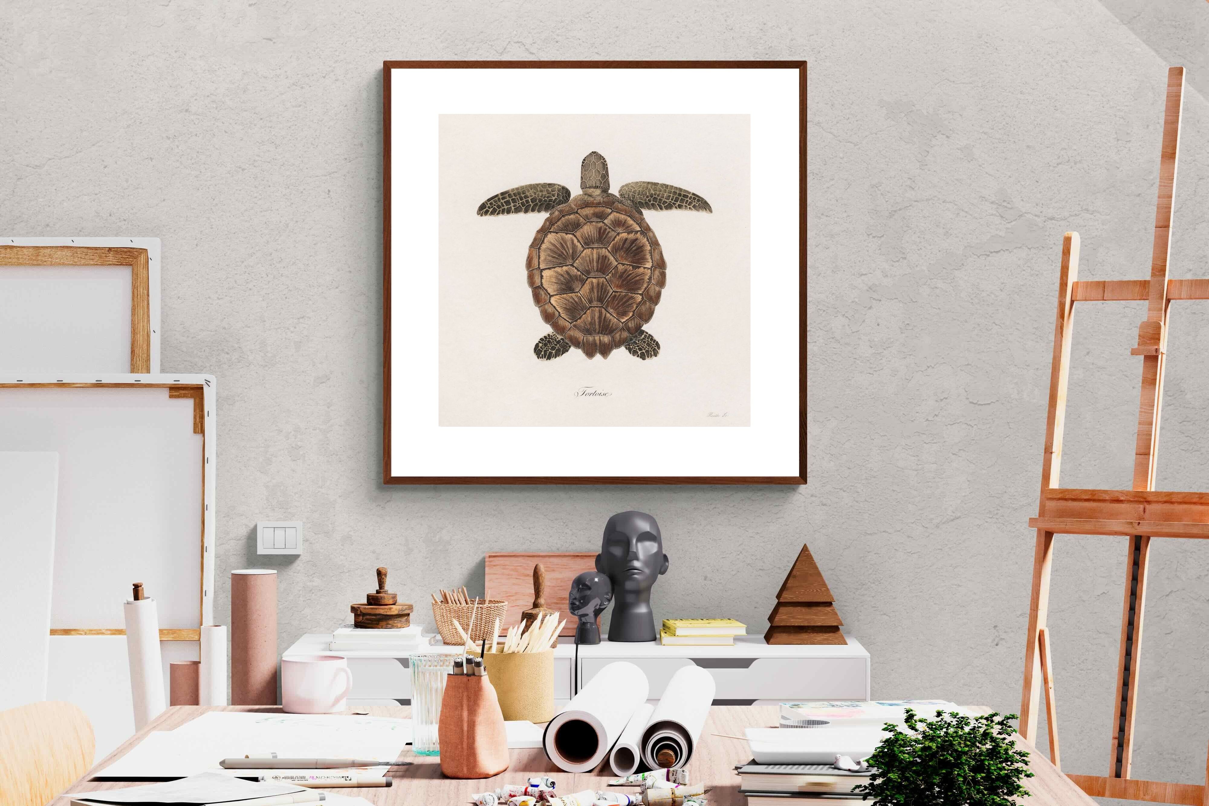 Pixalot Vintage Tortoise