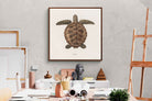 Pixalot Vintage Tortoise