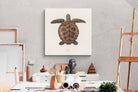 Pixalot Vintage Tortoise