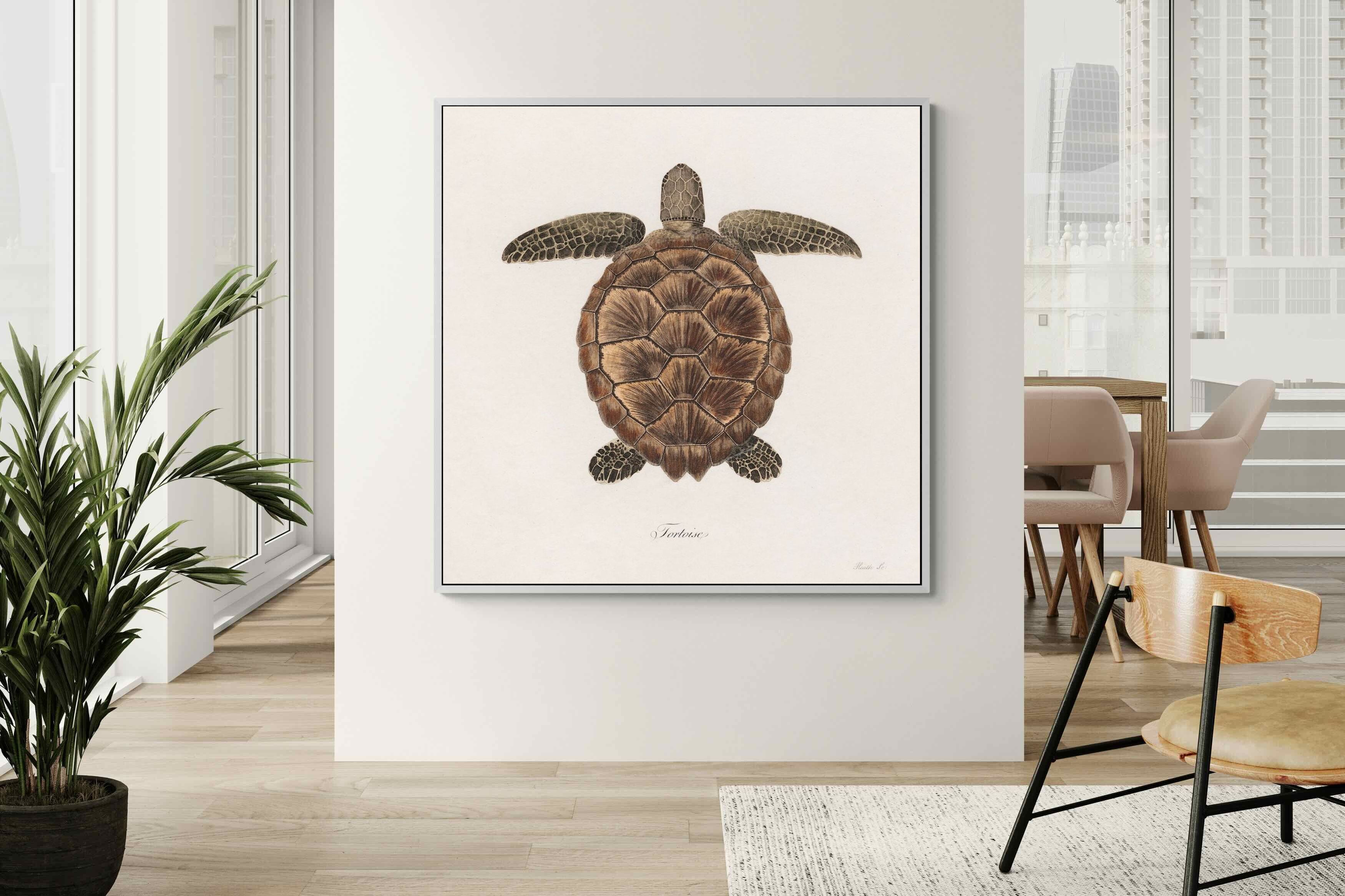 Pixalot Vintage Tortoise