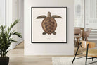 Pixalot Vintage Tortoise