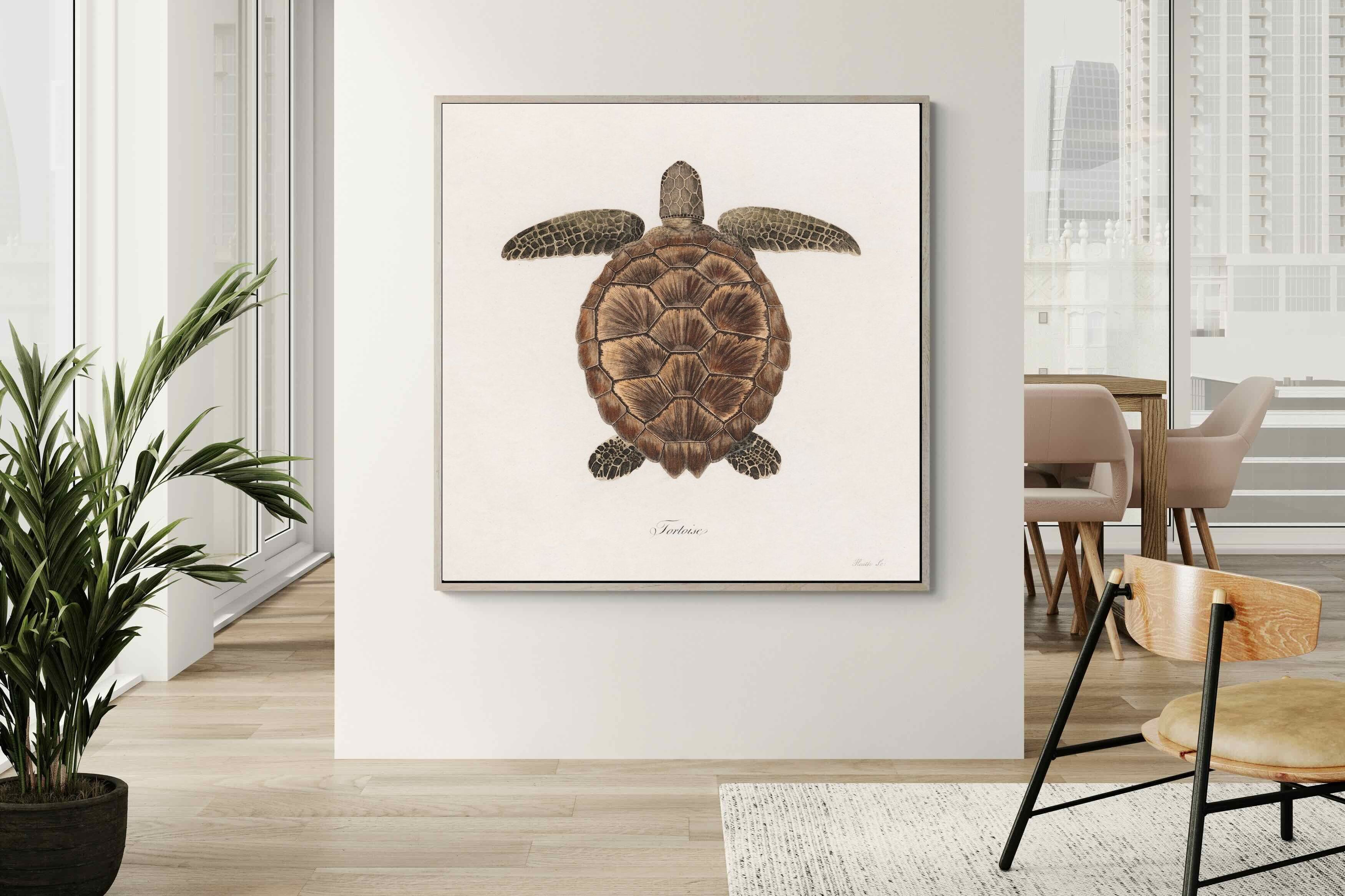Pixalot Vintage Tortoise