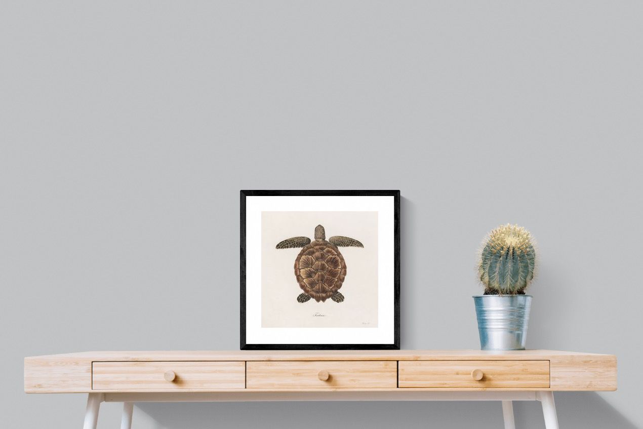 Pixalot Vintage Tortoise