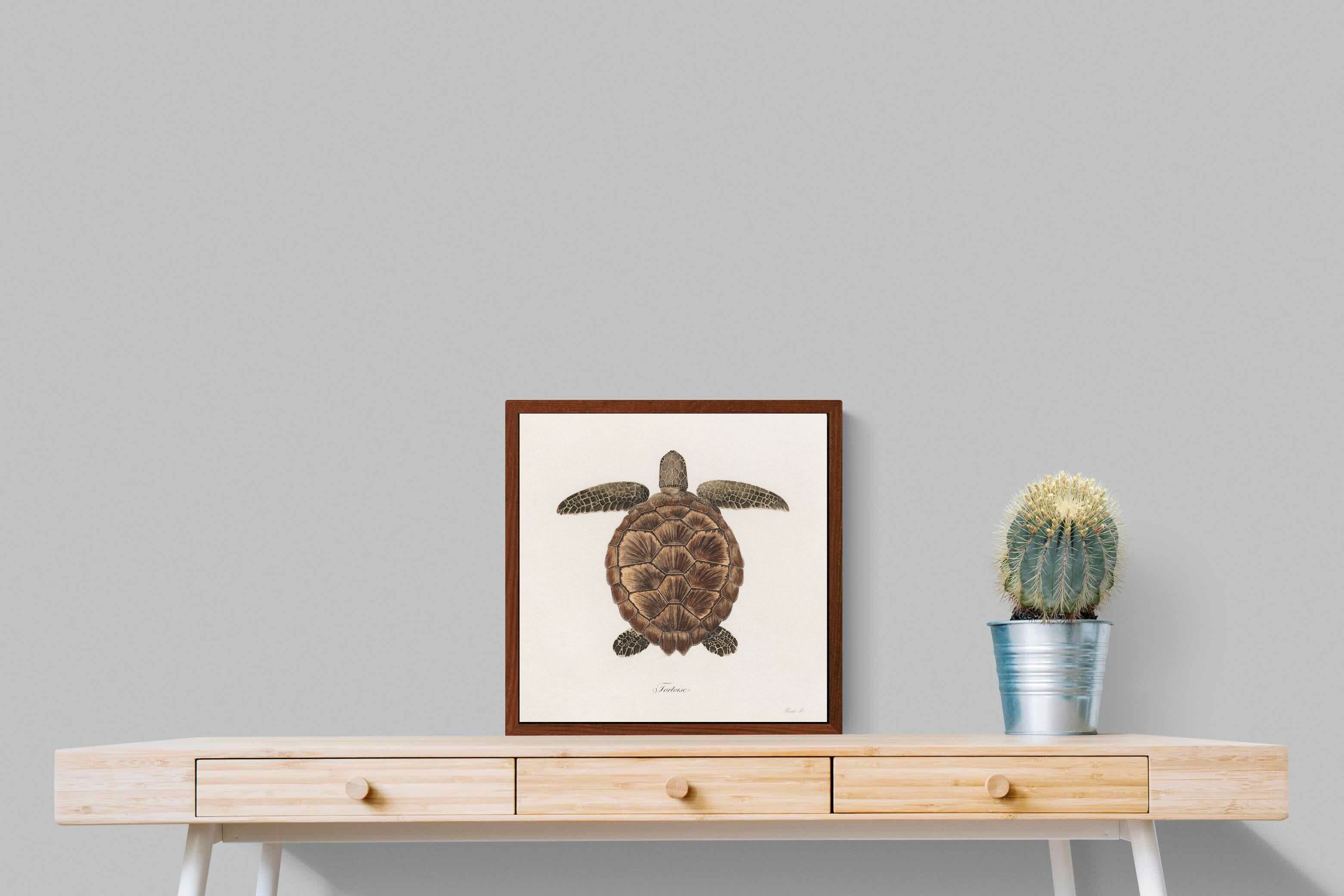 Pixalot Vintage Tortoise