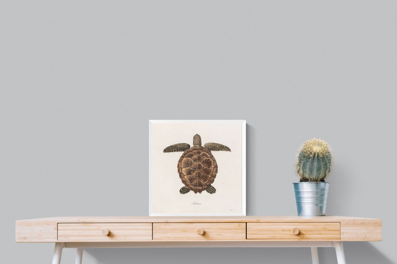 Pixalot Vintage Tortoise