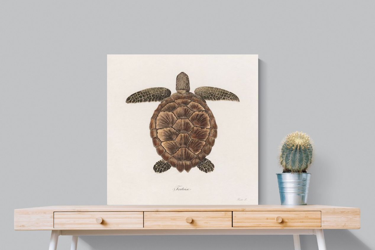 Pixalot Vintage Tortoise