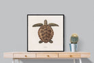 Pixalot Vintage Tortoise