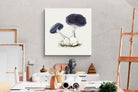 Pixalot Violet Webcap Mushroom
