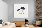 Pixalot Violet Webcap Mushroom