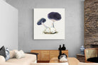 Pixalot Violet Webcap Mushroom