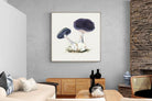 Pixalot Violet Webcap Mushroom