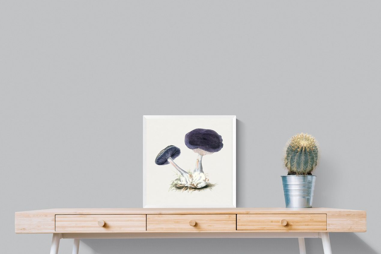 Pixalot Violet Webcap Mushroom