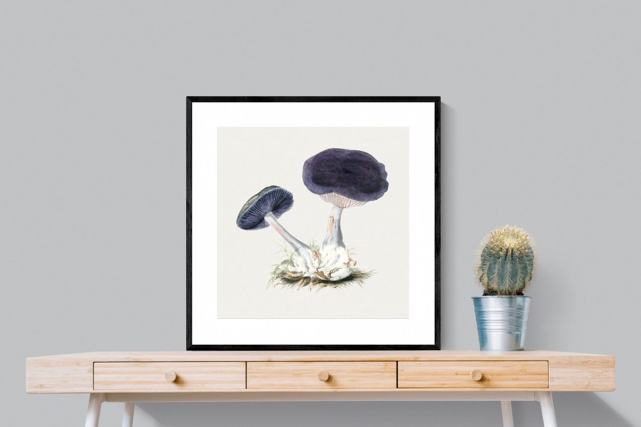 Pixalot Violet Webcap Mushroom