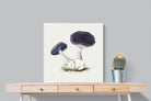 Pixalot Violet Webcap Mushroom