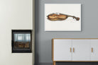 Pixalot Violin