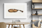 Pixalot Violin