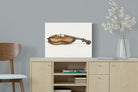 Pixalot Violin