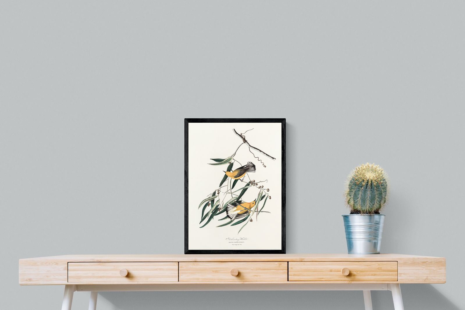 Pixalot Warbler (Birds of America 1827)