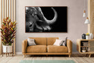 Pixalot ® Water Buffalo