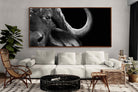Pixalot ® Water Buffalo