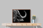 Pixalot ® Water Buffalo