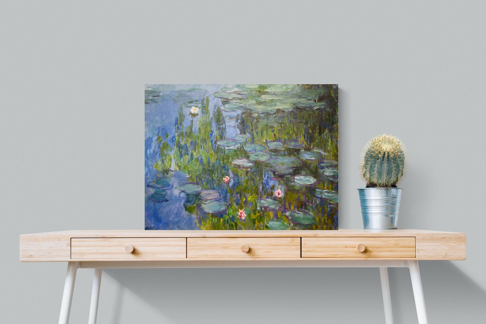 Pixalot Water Lilies (Nymphéas)