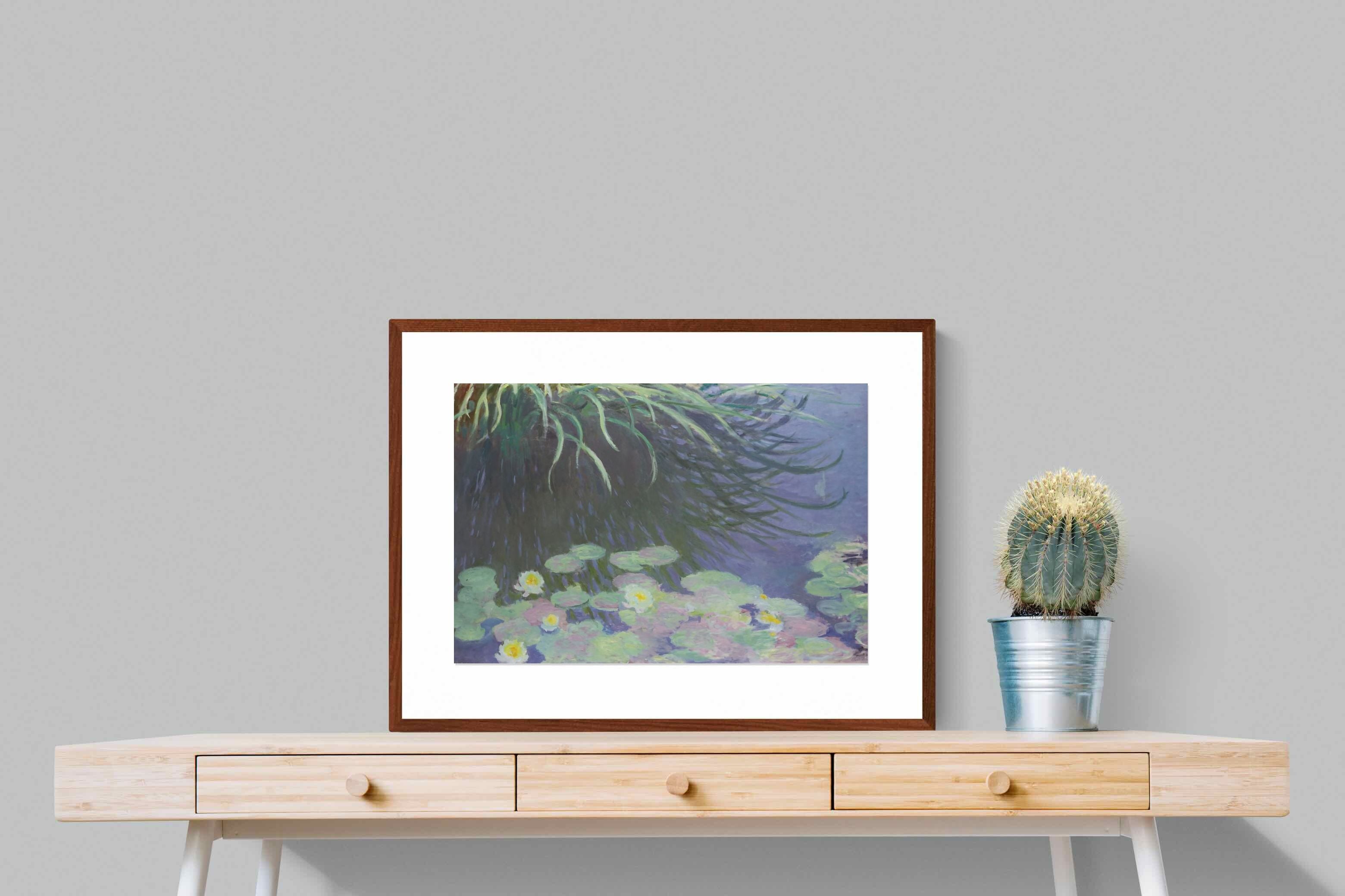 Pixalot Water Lily Reflections