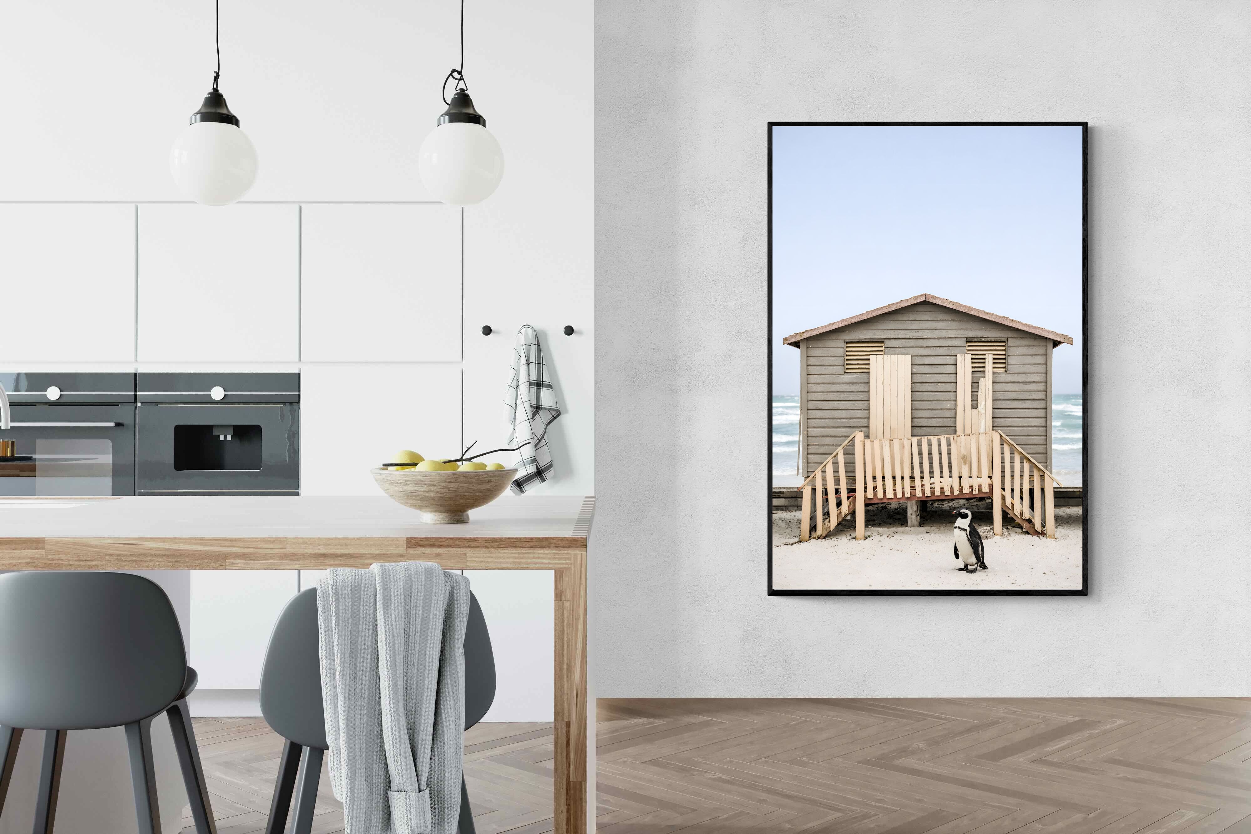 Pixalot Weathered Beach Hut