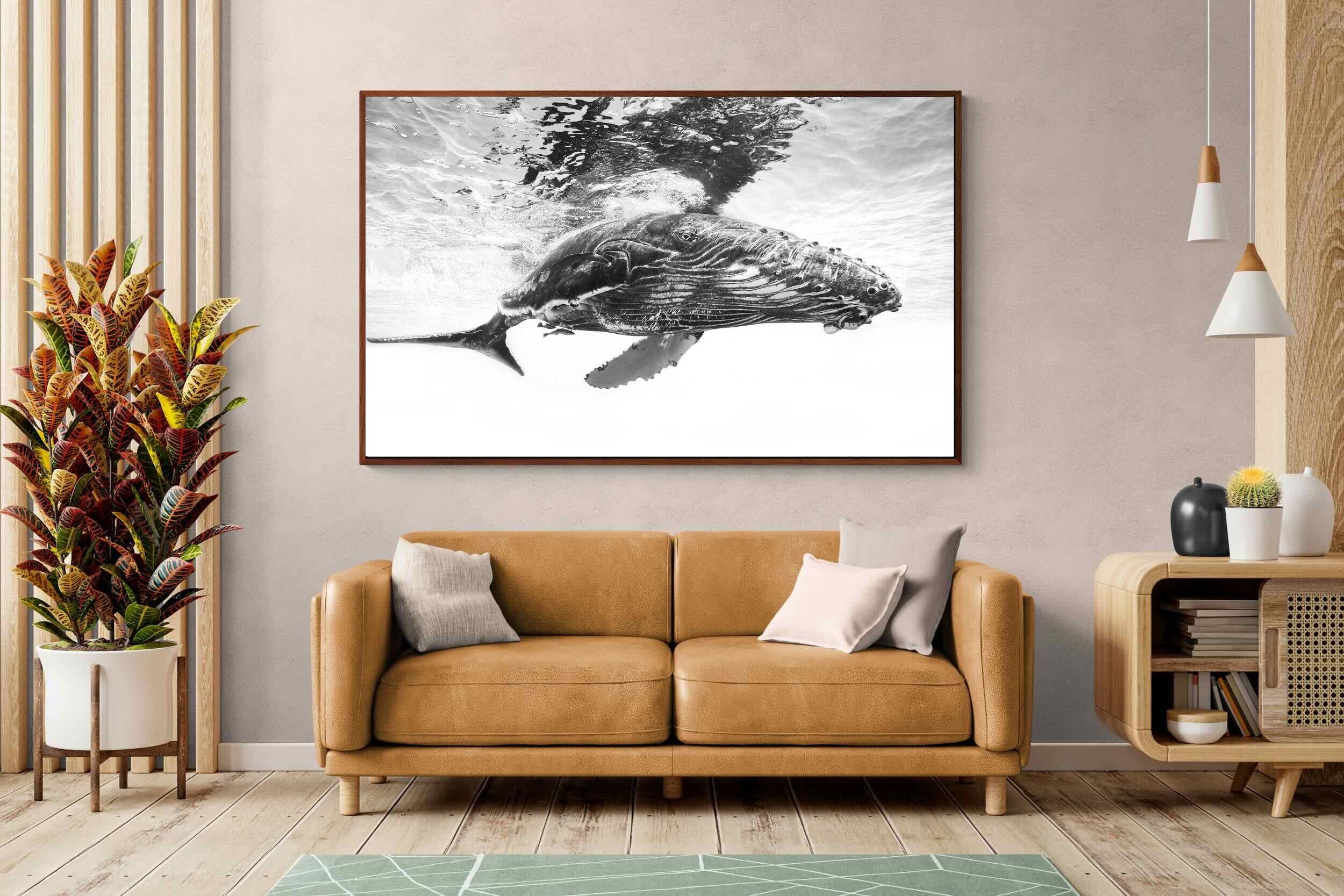 Pixalot ® Whale Calf