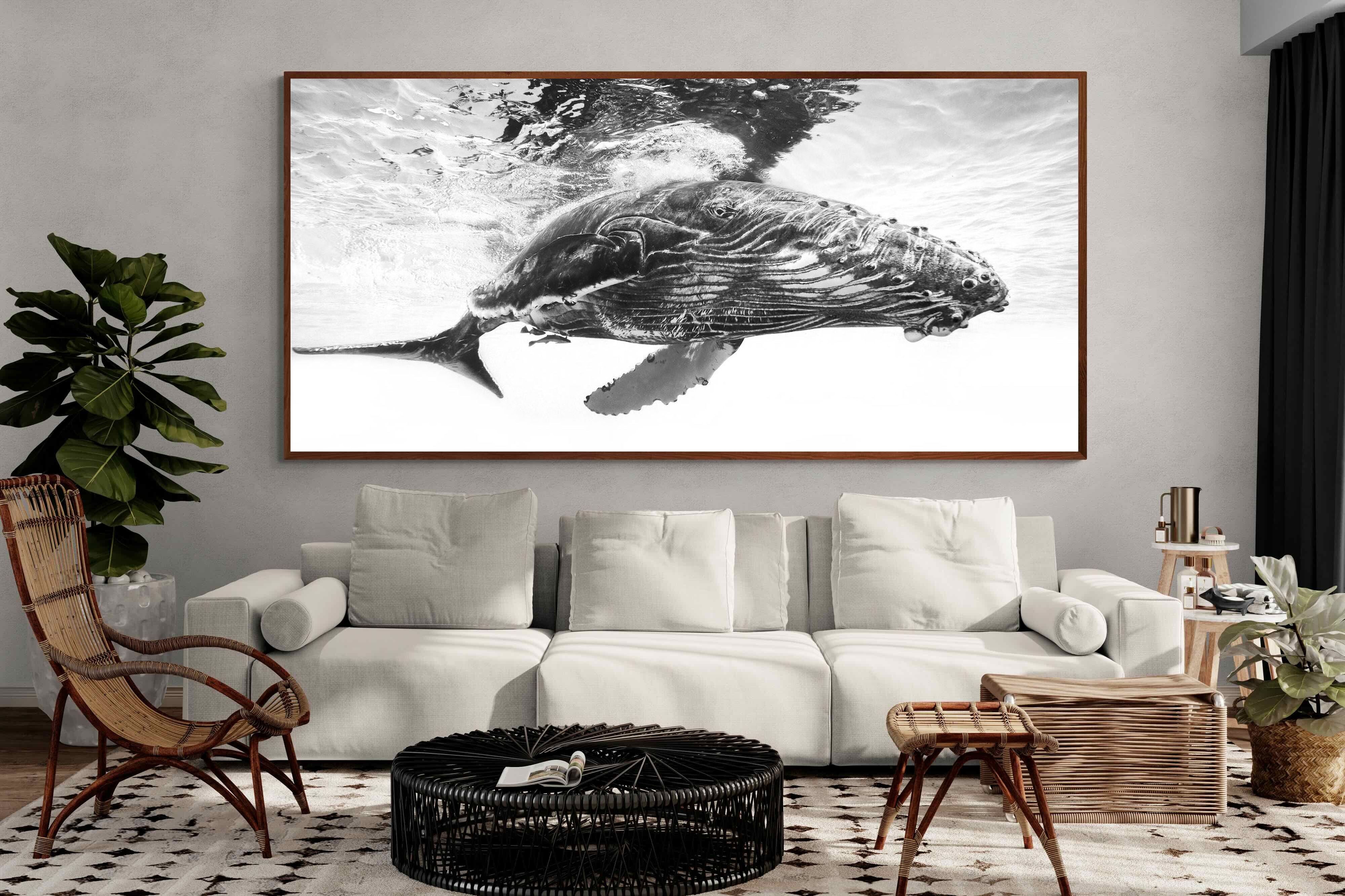Pixalot ® Whale Calf