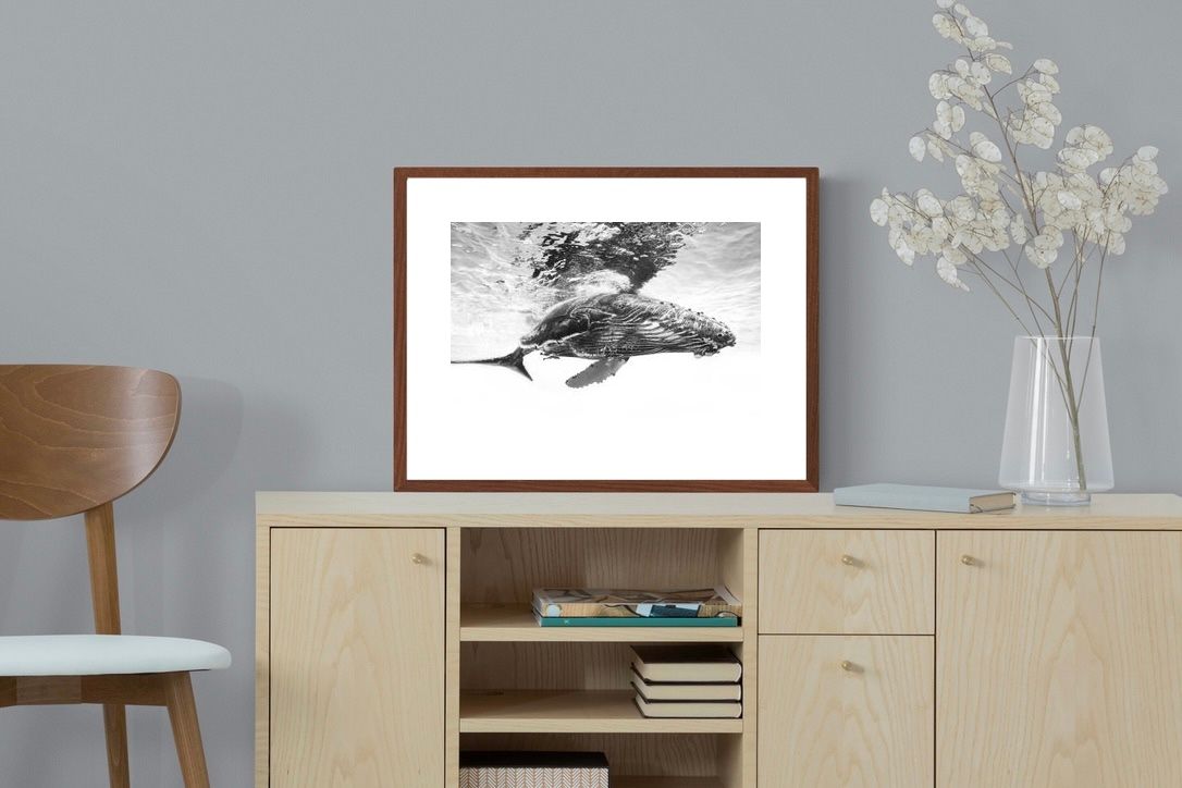 Pixalot ® Whale Calf