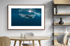 Pixalot ® Whale