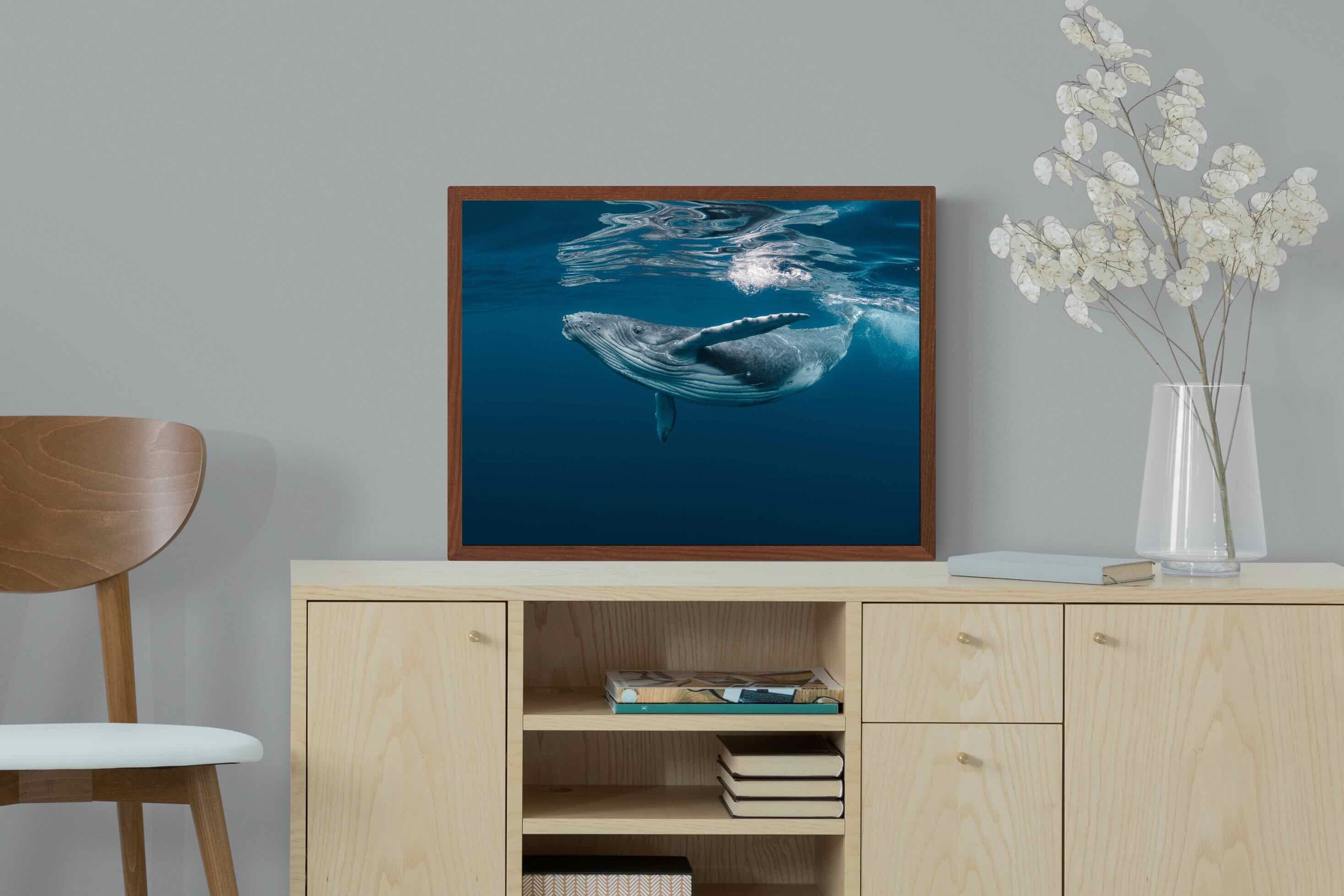 Pixalot ® Whale
