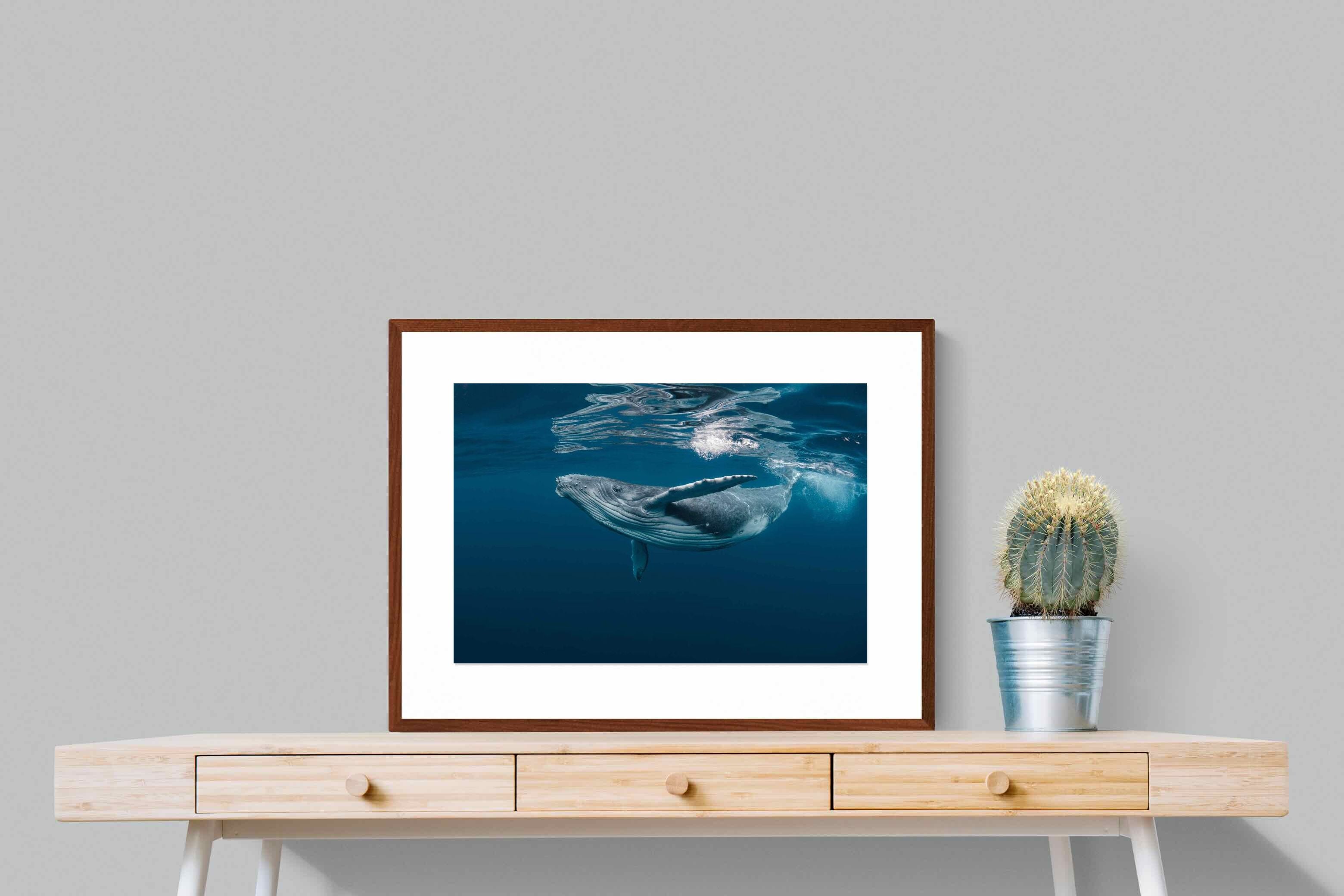 Pixalot ® Whale