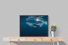 Pixalot ® Whale