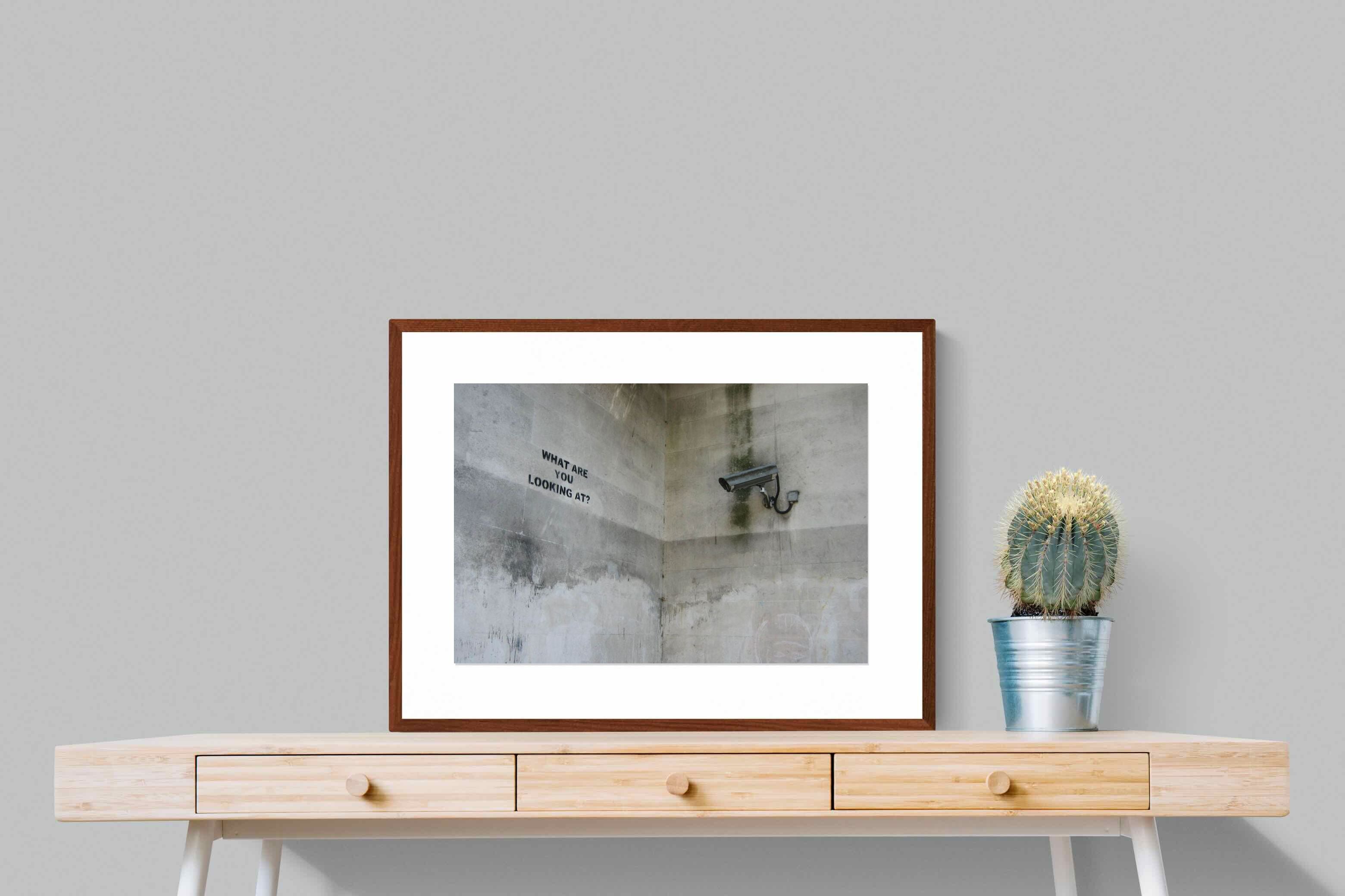 Pixalot What Are You Looking At