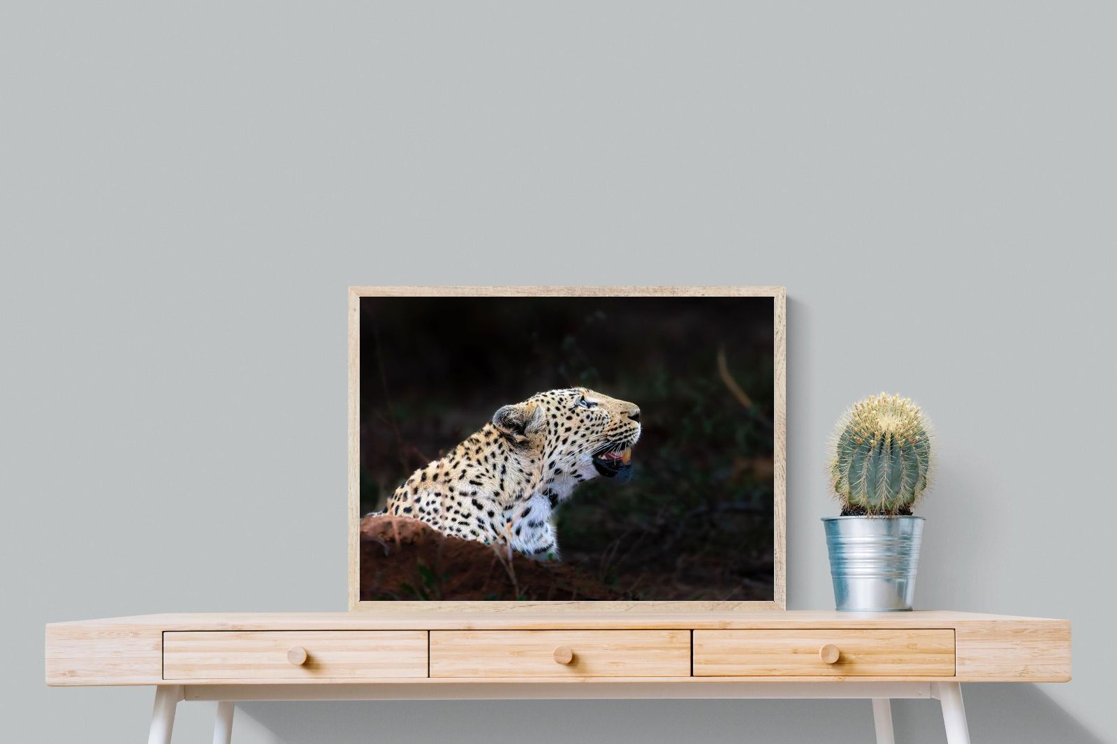Pixalot ® Whispers of the Wild