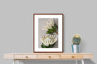 Pixalot White King Protea Duo