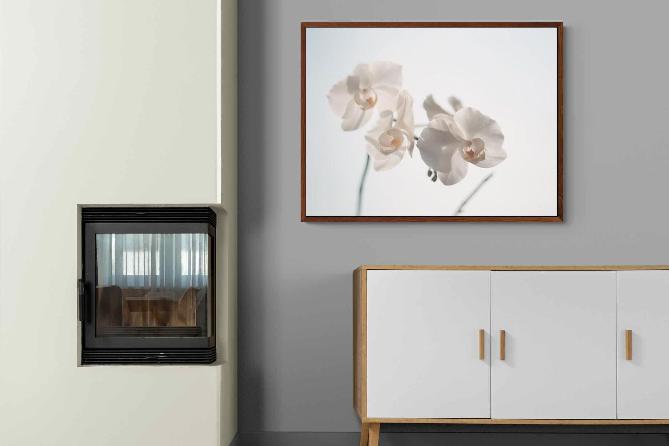 Pixalot ® White Moth Orchid