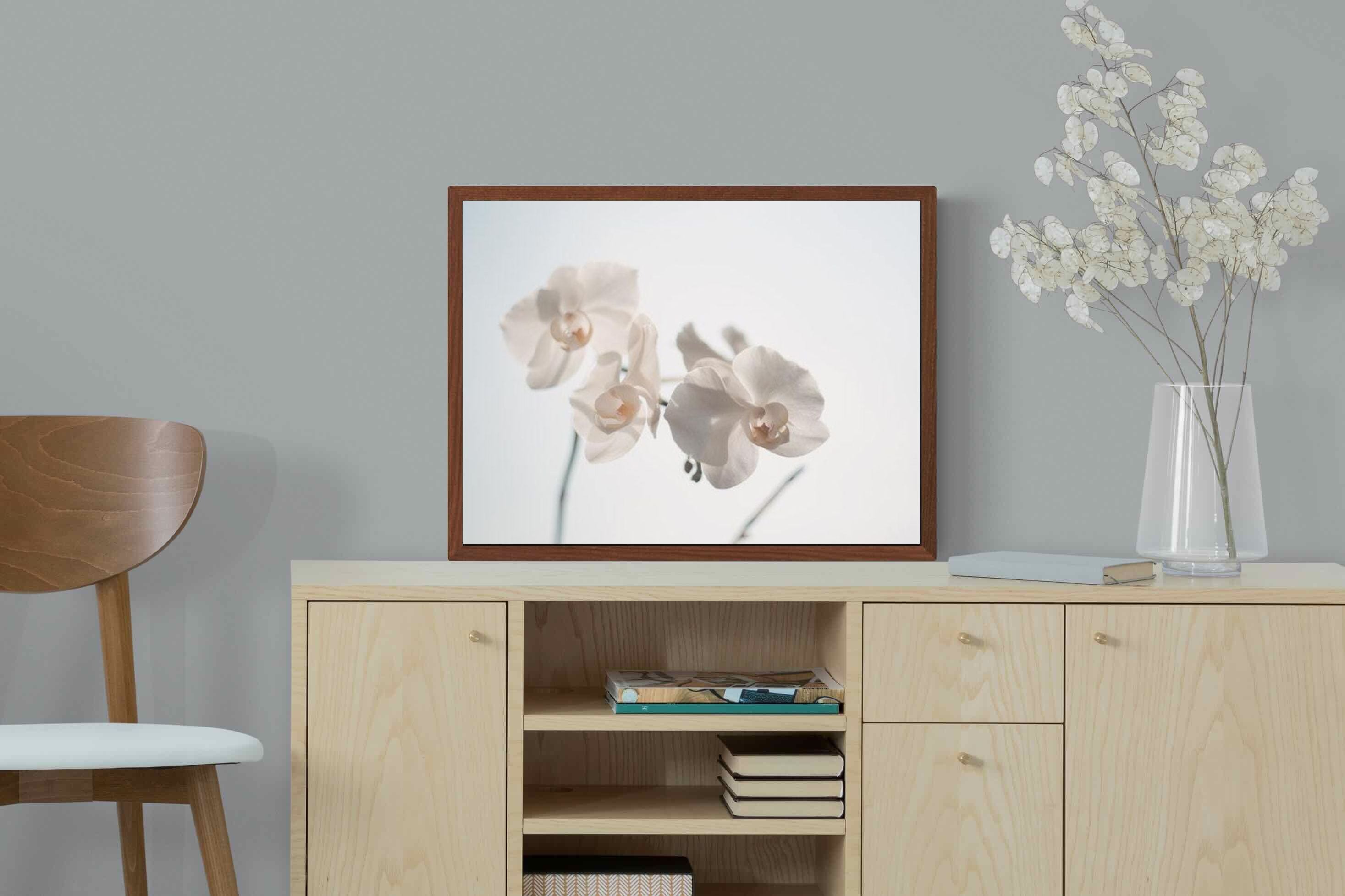 Pixalot ® White Moth Orchid