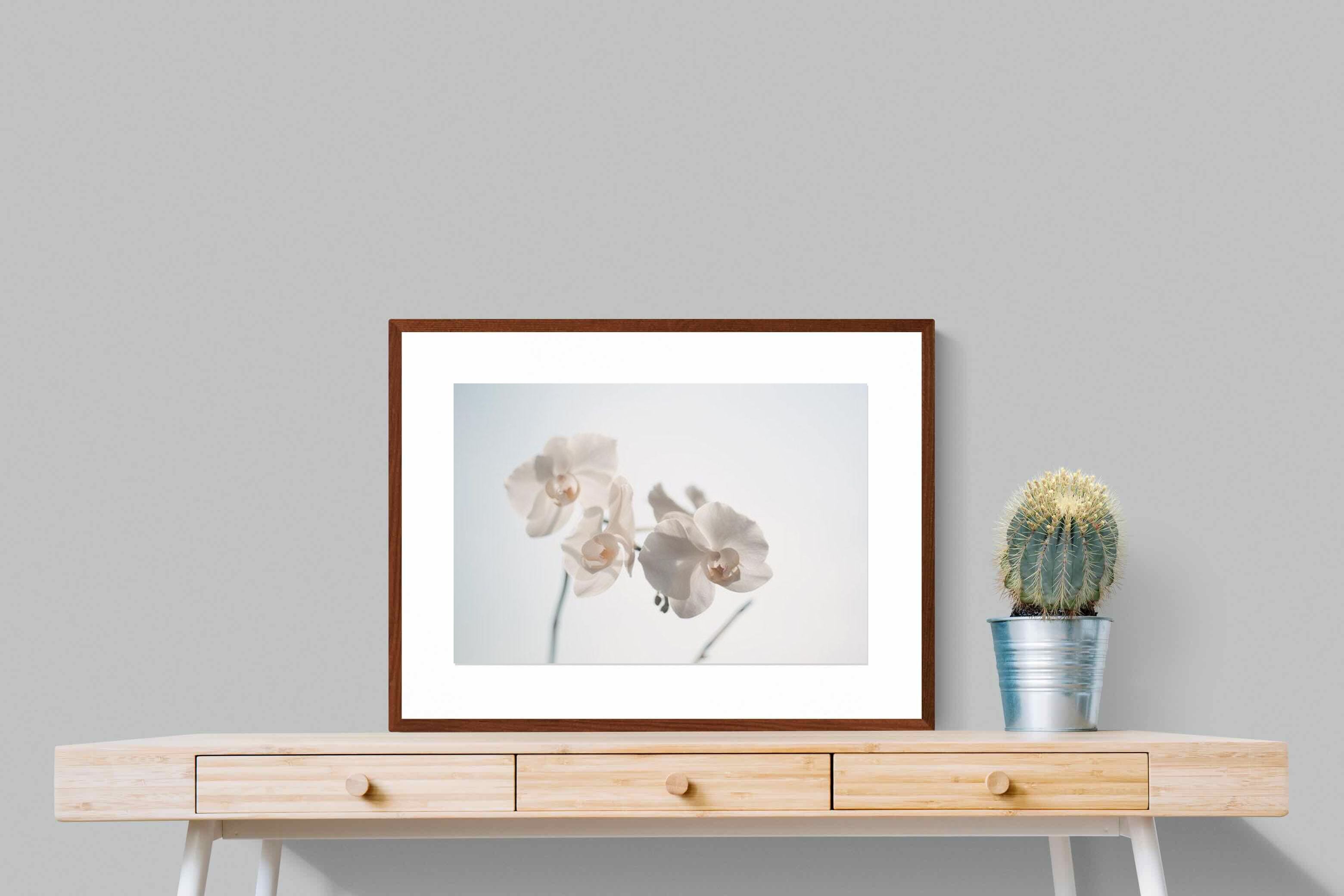 Pixalot ® White Moth Orchid