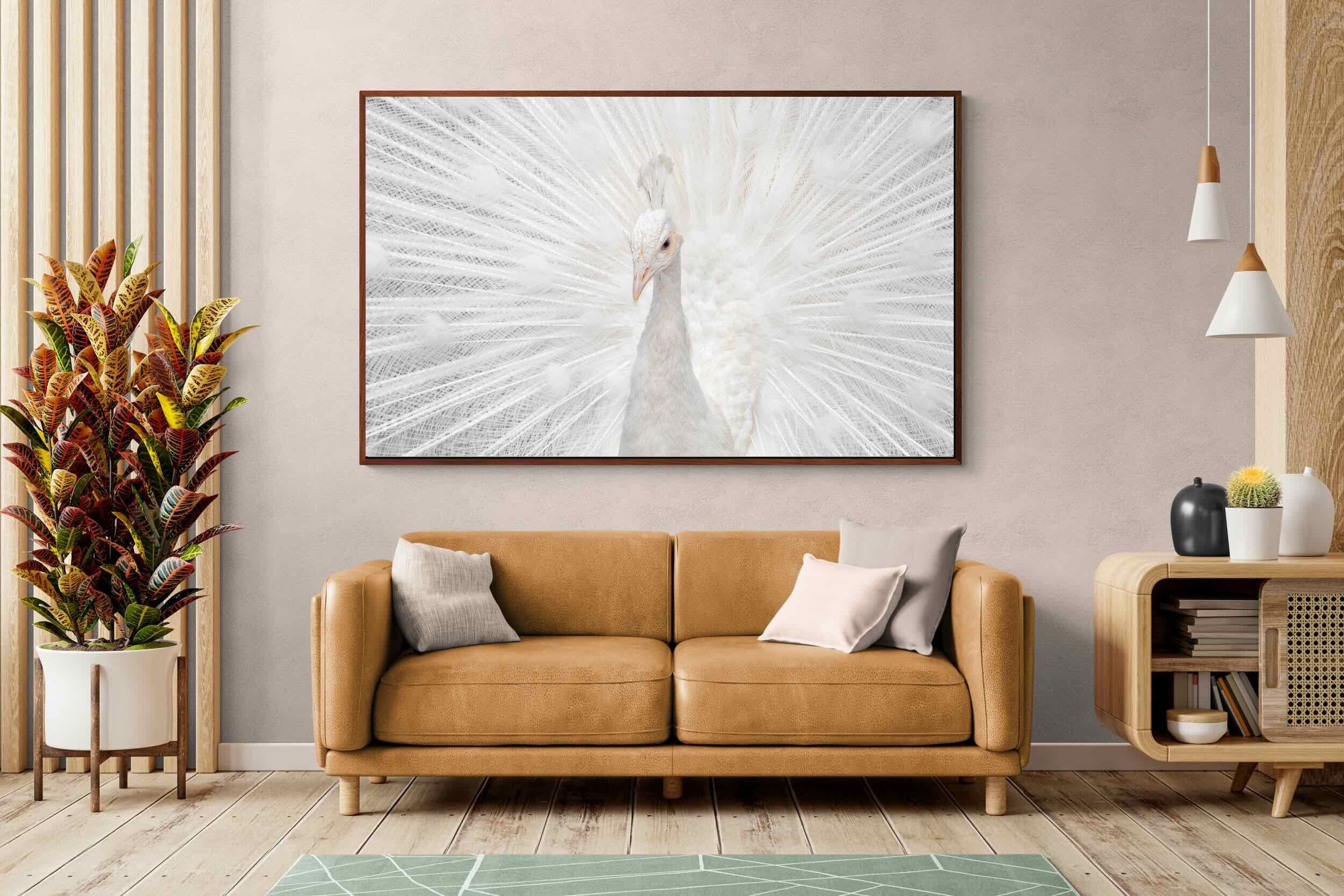 Pixalot ® White Peacock